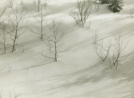Konecny - Snowy Winter Landscape