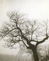 Click for details about Vandor - Tree in Front of Eiffel Tower, Paris Vandor - Tree in Front of Eiffel Tower, Paris