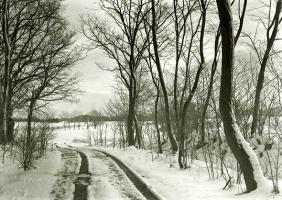 Helbich - Trees and Road in Snow