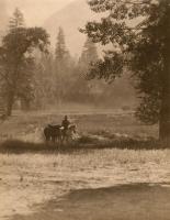 Blumann - Yosemite at Dawn.  The Mauve-Shirted Cowboy Comes with His Horses