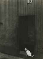 Click for details about Blanc & Demilly - Le Chat (The Cat in the Doorway) Blanc & Demilly - Le Chat (The Cat in the Doorway)