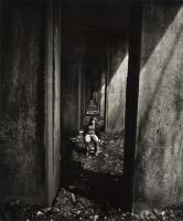 Tress - A Boy Sits under an Abandoned Railroad Track, Staten Island, NY
