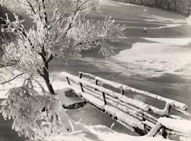 Baur - Snow Scene, Germany