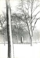 McCartney - Central Park, NYC