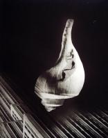 Morgan - City Shell (Photomontage)