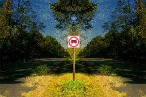 Click for details about Schreiner - No Truck Schreiner - No Truck