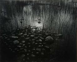 Click for details about Siegel - Pond and Rocks Siegel - Pond and Rocks
