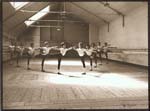 Young Danseurs in Arabesque Position
