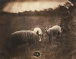 Comte Olympe Aguado (attributed to) - Sheep and Peasant Girl