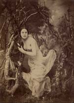 Female Nude in Studio 