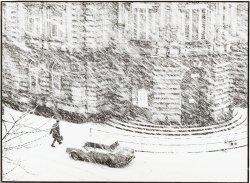 Ivo Prikryl - Snowstorm in Chumelenice, Czech Republic