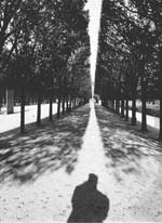 Stanko Abad�ic - Trees and Shadows
