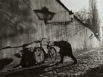 Untitled (Man Repairing Bicycle Tire)