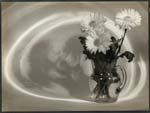 Raoul Bariaux - Still Life with Pitcher and Daisies