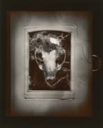 Olivia Parker - Amulet (from "Lost Objects portfolio)