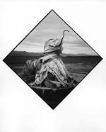 Arthur Tress - (Pointer Series)
