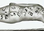 Marcel Marien - The Dream Bench, Female Nude Back with Cards