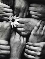 Michel Joly - Hands and Flower (Fleur aux Poings)