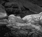 Marcia Schulman Martin - Highlighted Rocks