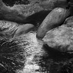 Marcia Schulman Martin - Rocks and Foam