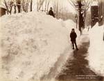 William Notman - Snowstorm, Ontario Avenue, Montreal