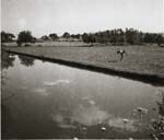 Jacques-Henri Lartigue - Huguette Sabouret au Ch�teau des Essarts, Veyvialle, France