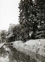 Jacques-Henri Lartigue - Huguette Sabouret au Ch�teau des Essarts, Veyvialle, France