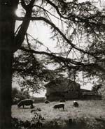 Jacques-Henri Lartigue - Passage au Ch�teau des Essarts, Veyvialle, France