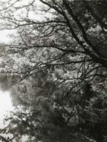 Jacques-Henri Lartigue - Passage au Ch�teau des Essarts, Veyvialle, France