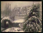 Ellis Kelsey - A Snowy Outlook