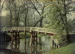 Anonymous - Bridge