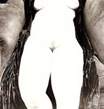 Irving Penn - Nude 119