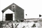 Alfred Eisenstaedt - Martha's Vineyard