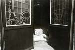 Michel Pinel - Bain de Soleil (Bath of Light)