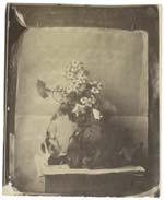 Charles Negre (Circle of ) - Early Still Life of Flowers