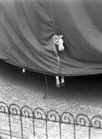 Stanko Abad�ic - Horse under Cover (from the Paris Cycle)