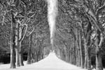 Stanko Abad�ic - Trees and Snow (from the Paris Cycle)