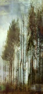 Lisa Holden - Blue Trees (from Series "Constructed Landscapes")