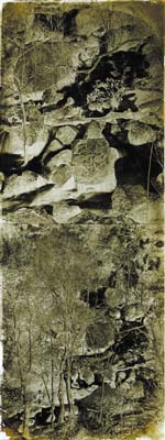 Charles Negre - Ruisseau en For�t (Stream in Forest): Two Images on One Plate
