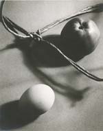 State Graphical School - Still Life