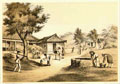 E. Brown - Perry Expedition to Japan of Photographer with Camera