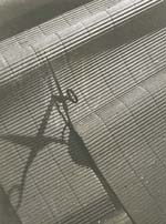 T. L. Van Rijckevorsel - Undulations (Scissors and Corrugated Cardboard)