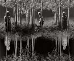 Jerry Uelsmann - Small Woods Where I Met Myself