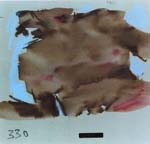 Cecily Brown - Big Film Still