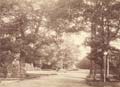 Charles Marville - Vieux Chenes d'Auteuil