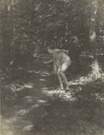 Nancy Ford Cones - The Sunlit Path