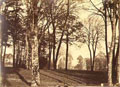 Saugrin (possibly Louis Francois) - Landscape