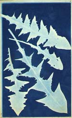 Arthur Wesley Dow - Dandelion Leaves
