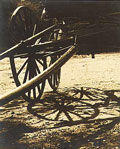 Marjorie McCoy - The Democrat Wagon