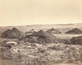 Anonymous - Arab Camp